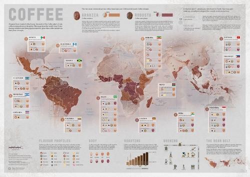 Coffee Wall Map (Map) (UK IMPORT)
