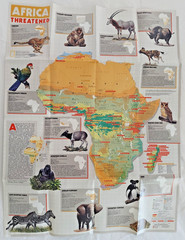 National Geographic, 4 Educational Maps Posters, Animal Migration, Whales, Birds
