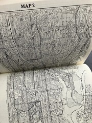 History in Asphalt: The Origin of BRONX Street and Place Names by John McNamara