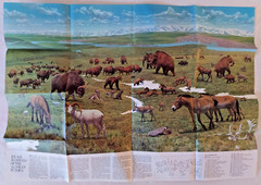 CANADA Quebec BC Ontario, Lot of 8, National Geographic Educational Maps Posters
