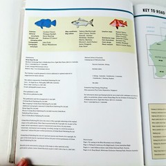 Discover Australia: Fishing Hema Maps Steve Starling