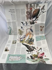 Vintage National Geographic Close Up USA Florida November 1973