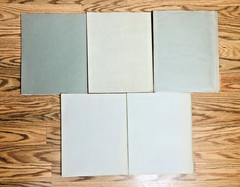 Lot United States Geological Survey Professional Paper USGS Geology Paleontology