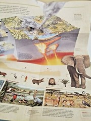 3 National Geographic Posters for Home School Education World Map & Info Posters