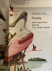 National Geographic Florida Virgin Islands Map Supplement November 1973 Vol 144