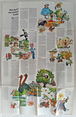 United States Regional Maps Poster National Geo Mag Close Up USA 1970s Classroom