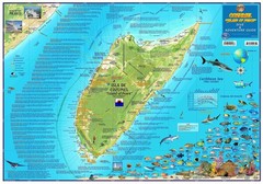 Cozumel Dive & Adventure Guide Franko Maps Waterproof Map