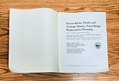 Lot United States Geological Survey Professional Paper USGS Geology Paleontology