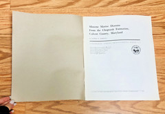 Lot United States Geological Survey Professional Paper USGS Geology Paleontology