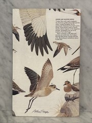 Vintage National Geographic Bird Migration Americas Northeast USA Fold Map 1979