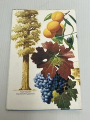 Close Up California Nevada Foldout Map National Geographic