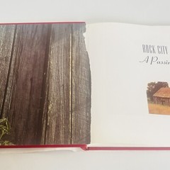 Rock City: A Passing Ear Photographed by David B. Jenkins Large Hardcover 1996