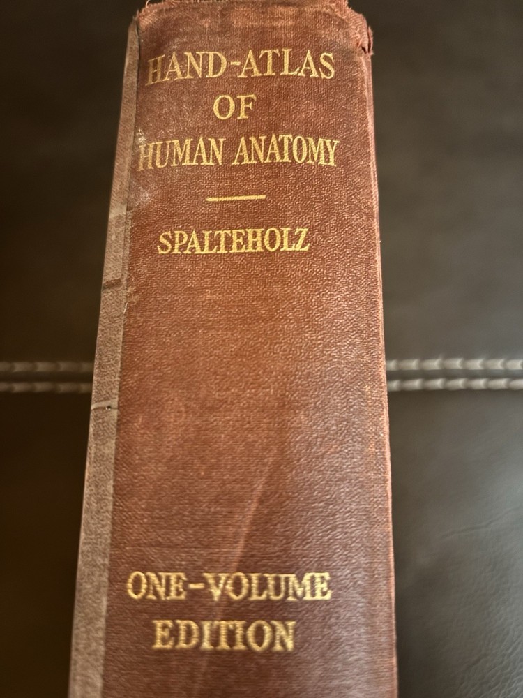 Hand Atlas of Human Anatomy by Werner Spalteholz