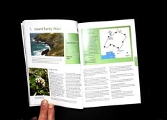 100 Nature Walks by National Trust Book – New, Discover Britain’s Wild Side