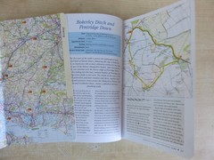 The New Forest, Hampshire, Dorset, Isle of Wight Walking / Area Guides.