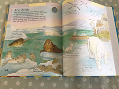 Kingfisher First Picture Atlas by Deborah Chancellor (Hardcover, 2005)