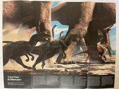 National Geographic :- The March Towards Extinction, A New View. June 1989 VGC