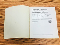 Lot United States Geological Survey Professional Paper USGS Geology Paleontology
