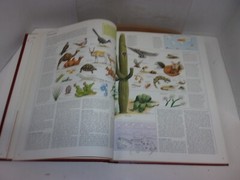 The World Book Great Geographical Atlas World Book, Inc. 1982 Russell L Voisin
