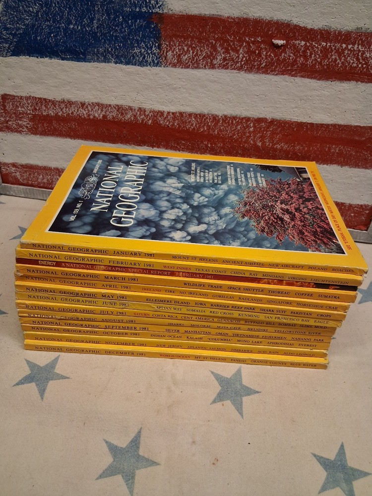 1981 National Geographic Magazine Full Year ~ 13 Issues ~ Good Condition