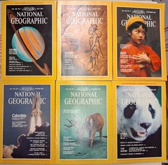 1981 National Geographic Magazine Full Year ~ 13 Issues ~ Good Condition