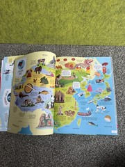 Usborne Big Picture Atlas kids 15 illustrated maps wildlife oceans landmarks