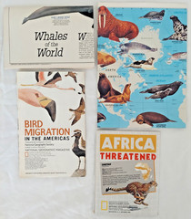 National Geographic, 4 Educational Maps Posters, Animal Migration, Whales, Birds