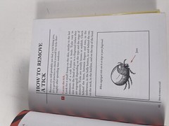 Lot Of 2 The Worst Case Scenario Survival Handbook: Travel J. Piven, D. Borgen