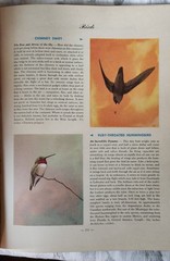 Hammond’s nature atlas of america