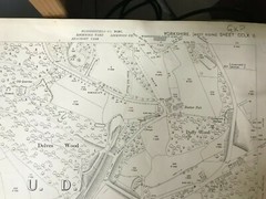 1916 Ordnance Survey, South Crosland, CCLX 6
