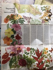 5 Vintage Maps – Used – Arizona / Hawaii / New Caledonia / National Geographic