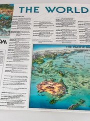 Unique Media Maps Laminated 3D Map ‘The World’ Artistic Illustration 1996