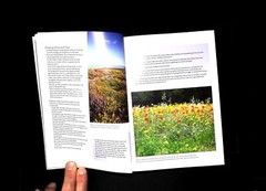 100 Nature Walks by National Trust Book – New, Discover Britain’s Wild Side