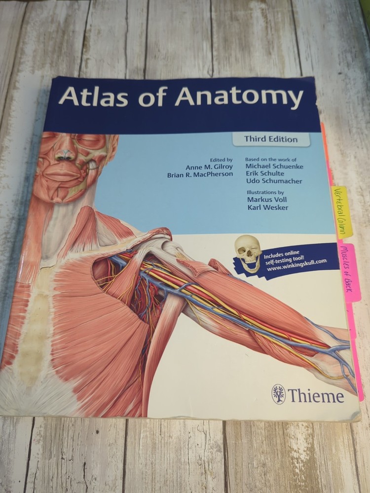 Atlas of Anatomy – Paperback By Gilroy, Anne M – GOOD