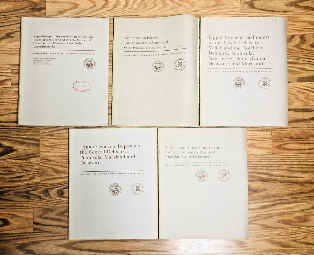 Lot United States Geological Survey Professional Paper USGS Geology Paleontology