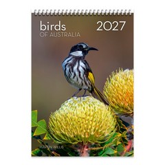 2027 Birds of Australia Wall Calendar – MARTIN WILLIS