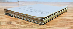 Lot United States Geological Survey Professional Paper USGS Geology Paleontology