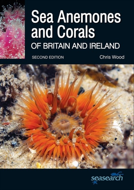 Sea Anemones and Corals of Britain and Ireland by Chris Wood (Paperback Book)