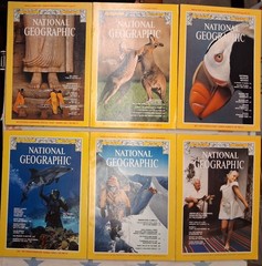 1979 National Geographic Magazine Full Year ~ 12 Issues ~ Good Condition