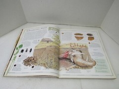 Atlas of Archaeology by Mick Aston & Tim Taylor DK Publishing 1998 Paperback