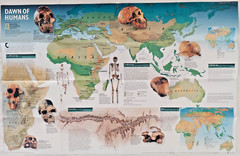 National Geographic Posters 1997 DAWN OF HUMANS, MESOAMERICANS Paleoanthropology