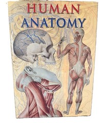 Human Anatomy Oversized Hardcover Book Coffee Table Medical Atlas 16.5” x 23”