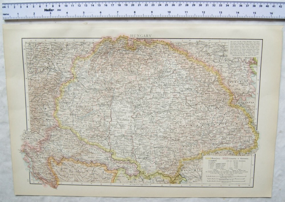 1895 The Times Plate 51 Hungary