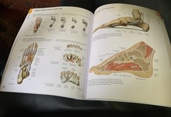 Atlas of Anatomy Third Edition USED VERY GOOD! Access Code never used