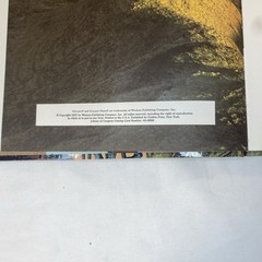 The Golden Bible Atlas with Relief Maps in Full Color Vintage 1957