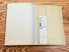 Lot 5 Canada Department of Mines Geological Surveys Paleontology Geology Vintage