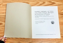 Lot United States Geological Survey Professional Paper USGS Geology Paleontology