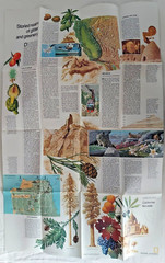United States Regional Maps Poster National Geo Mag Close Up USA 1970s Classroom