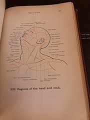 Hand Atlas of Human Anatomy by Werner Spalteholz