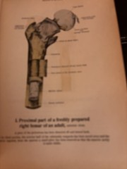 Hand Atlas of Human Anatomy by Werner Spalteholz
